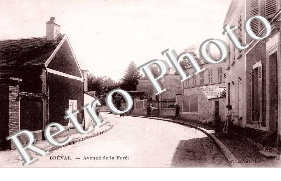 Avenue de la Foret