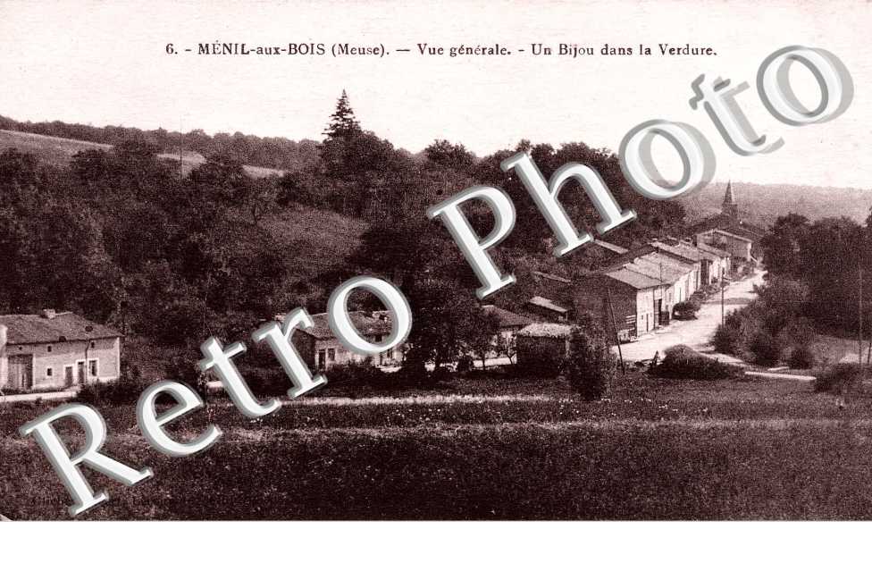 Vue generale - Un bijou dans le verdure