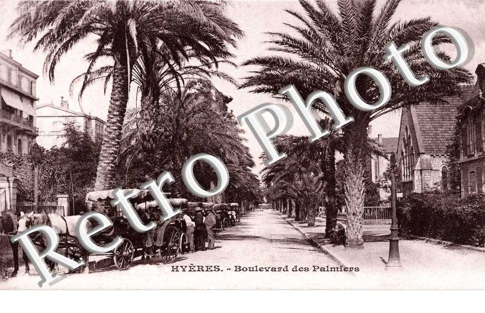 Boulevard des Palmiers