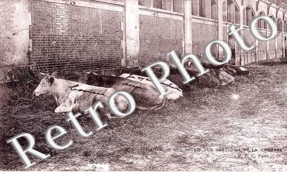 Les Abattoirs de la Villette