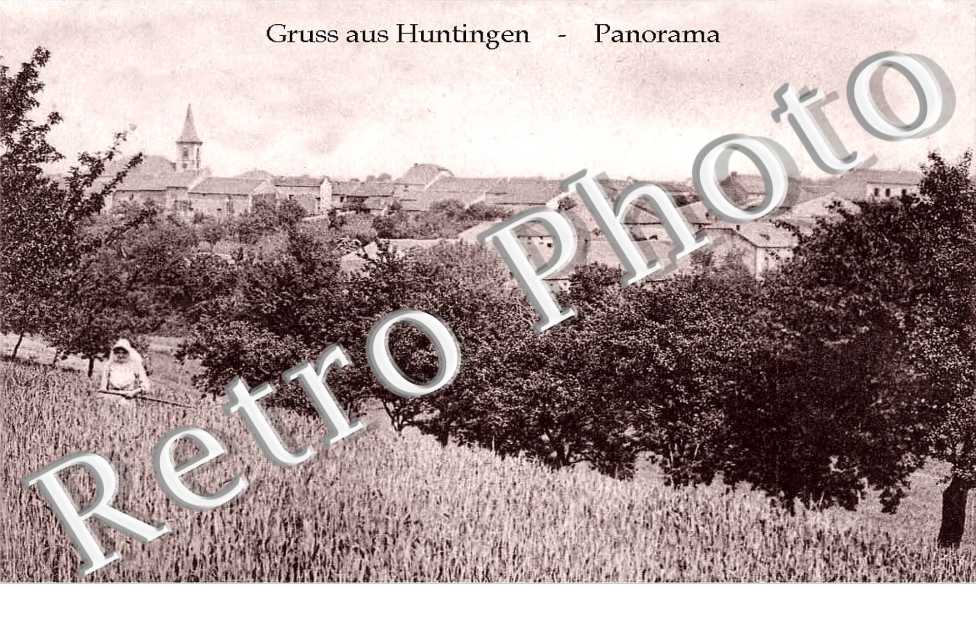 PANORAMA