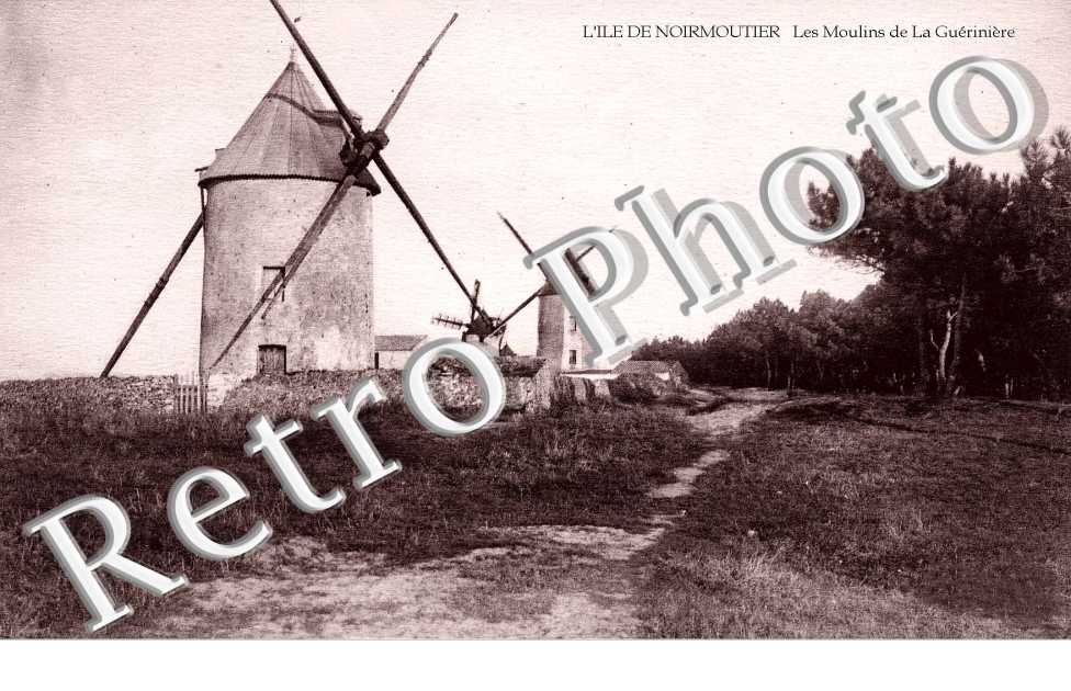 Moulins de la Gueriniere