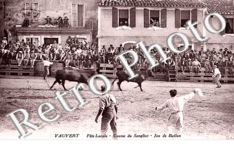 Fête Locale - Course de Sangliers - Jeu de Ballon
