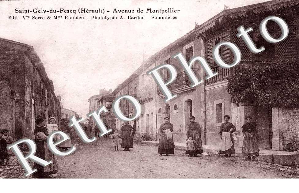 AVENUE DE MONTPELLIER