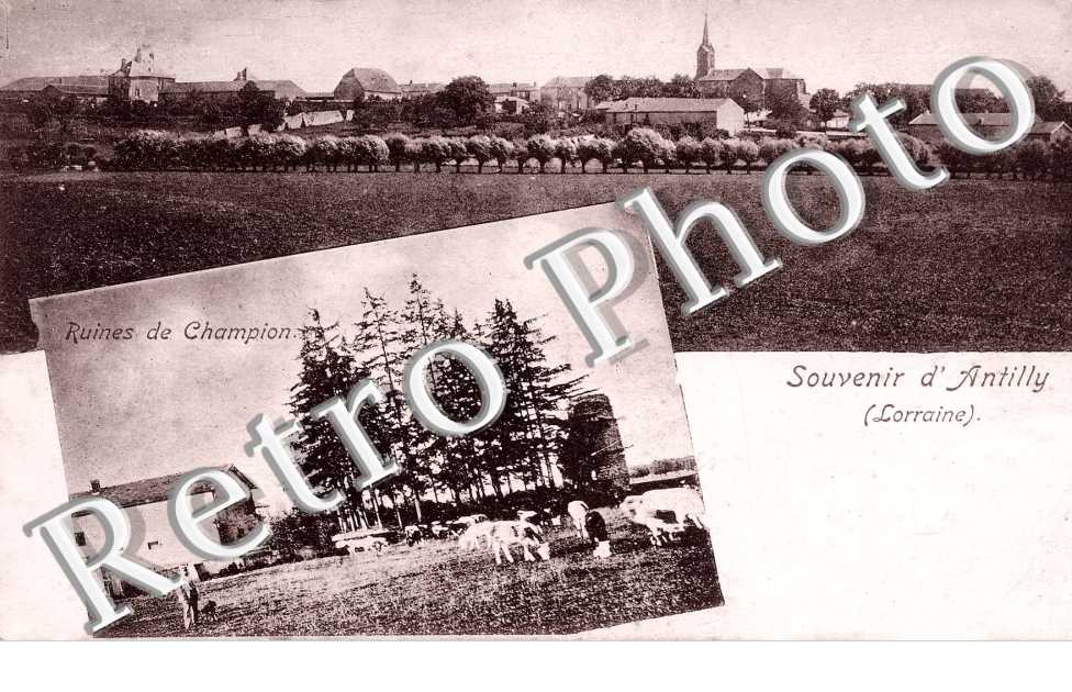 vue generale et ruines de Champion.
