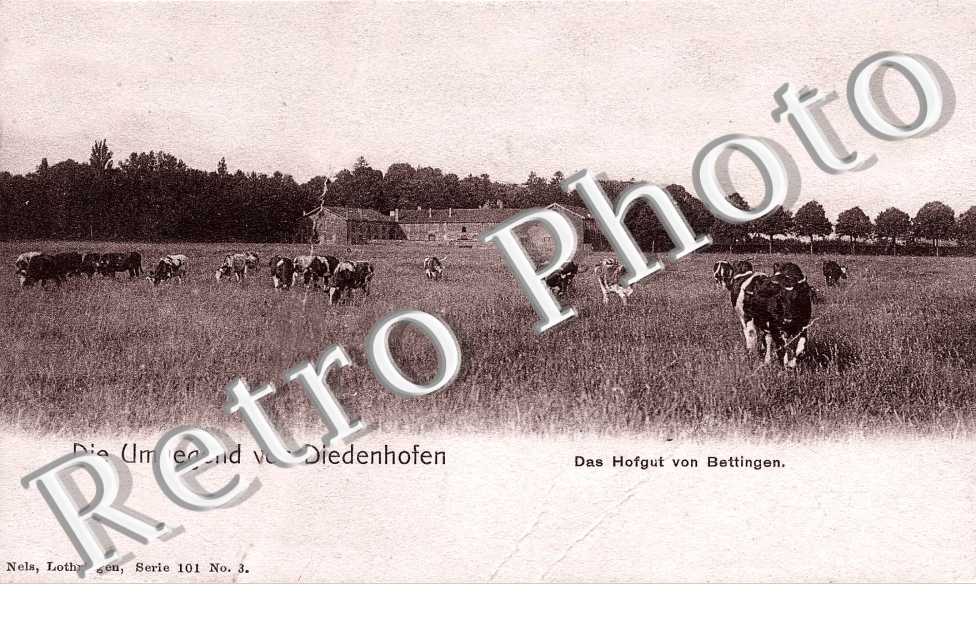  Das Hofgut von Bettingen - Nels serie 101 n° 3