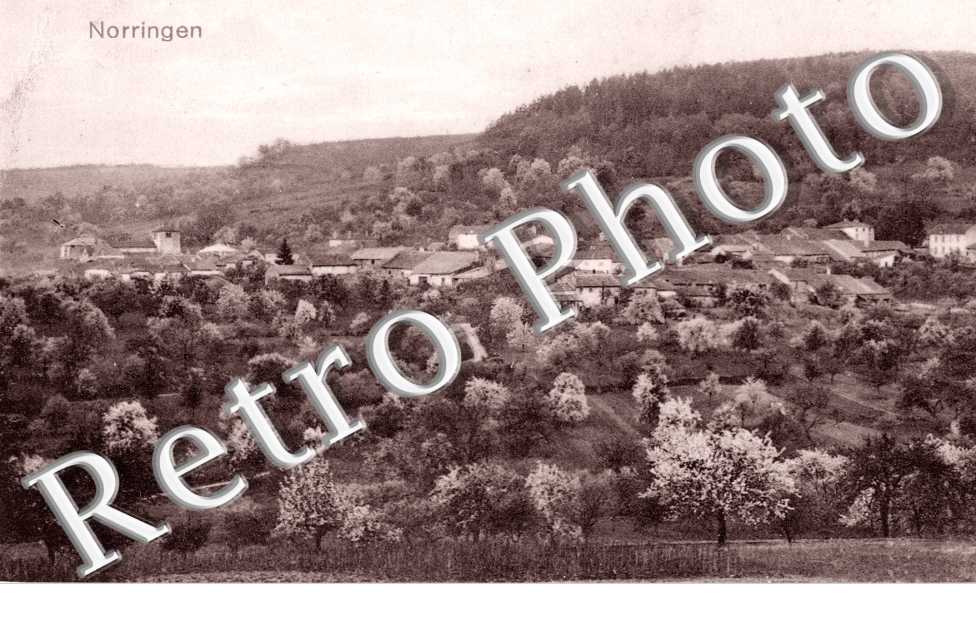 Vue Panoramique
