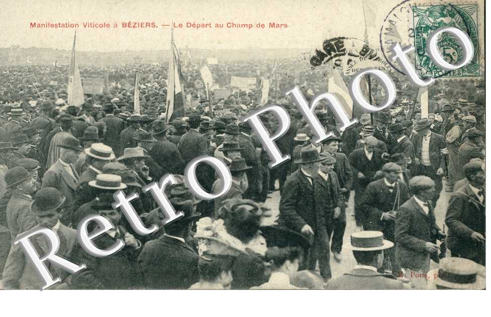 Manifestation Viticole