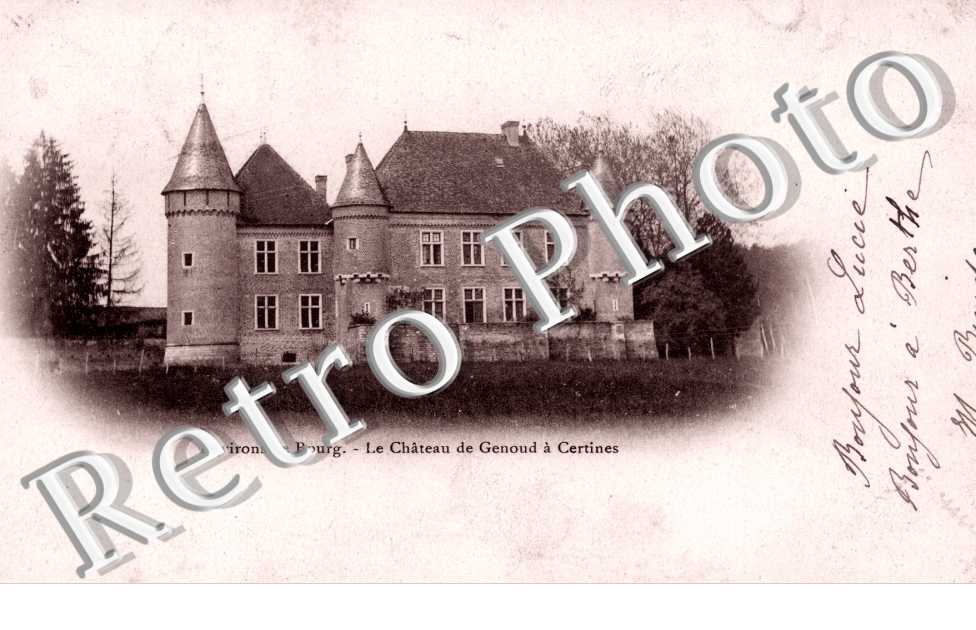 Le Chateau de Genoud