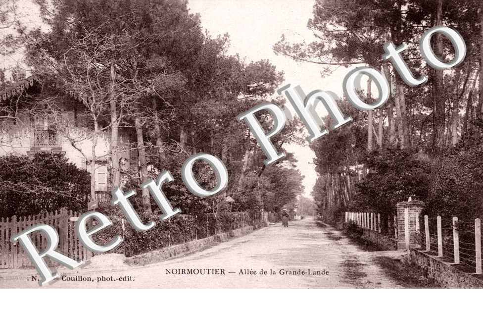 Allée de la Grande Lande