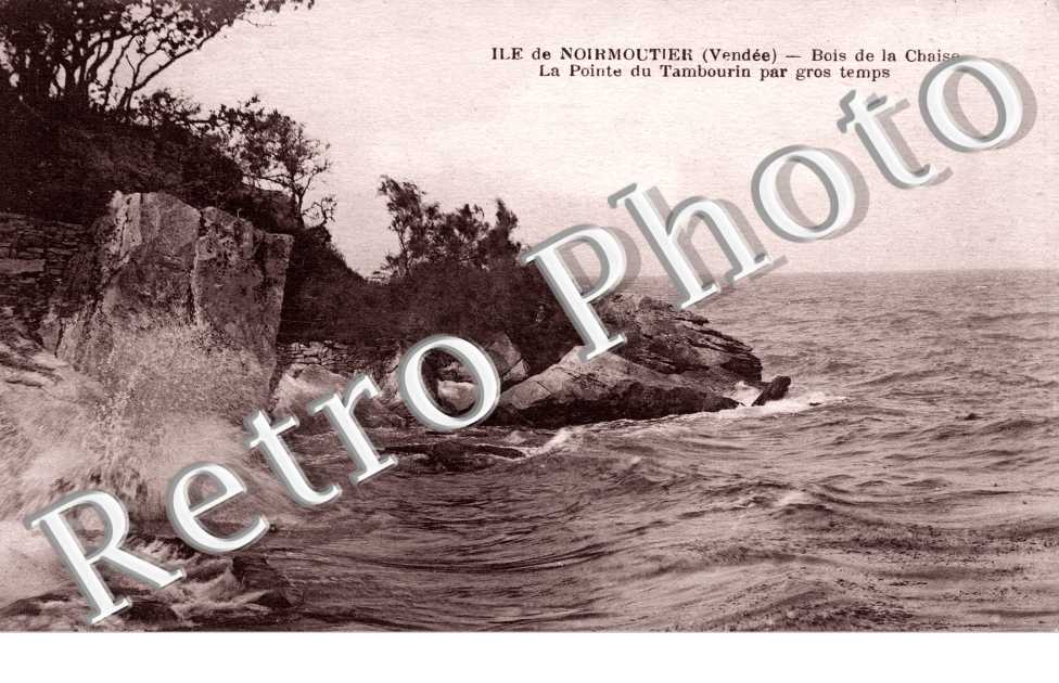 Bois de la Chaise La pointe du Tambourin