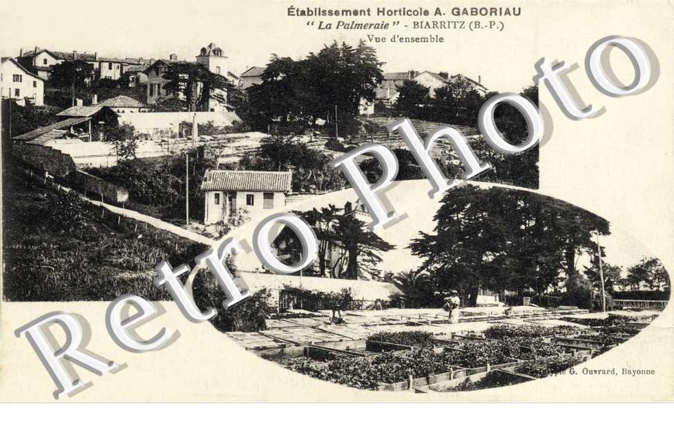 etablissement horticole A. Gaboriau " La Palmeraie " vue d&#039;ensemble