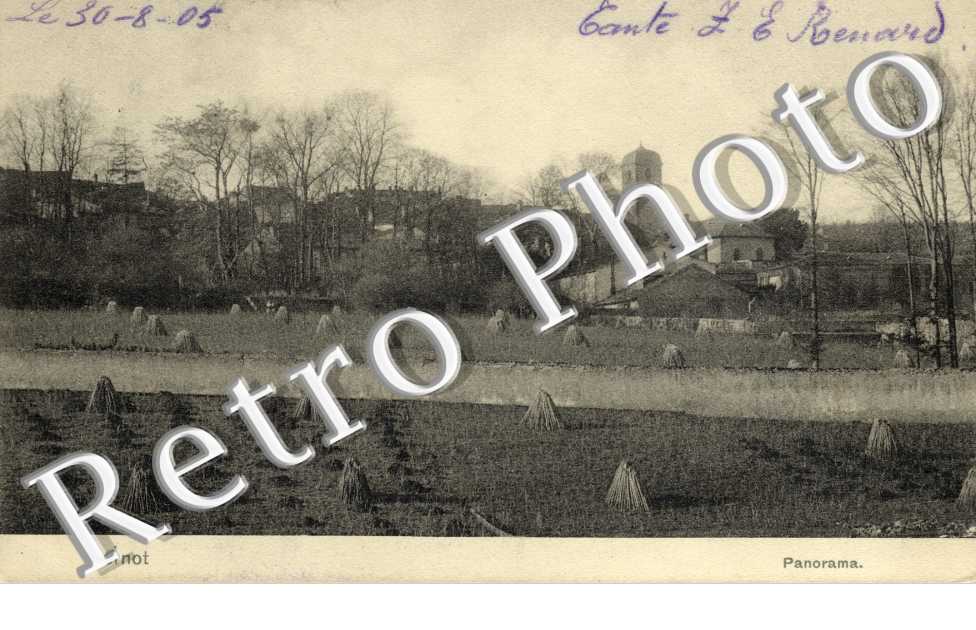 Panorama
