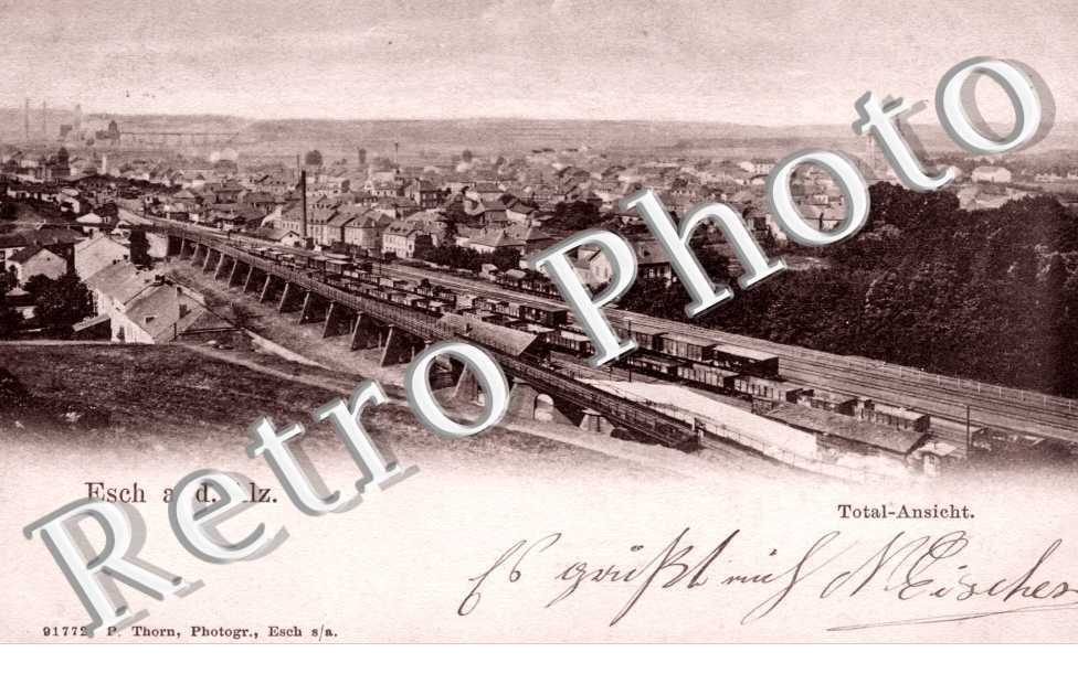 vue generale. Total-ansicht