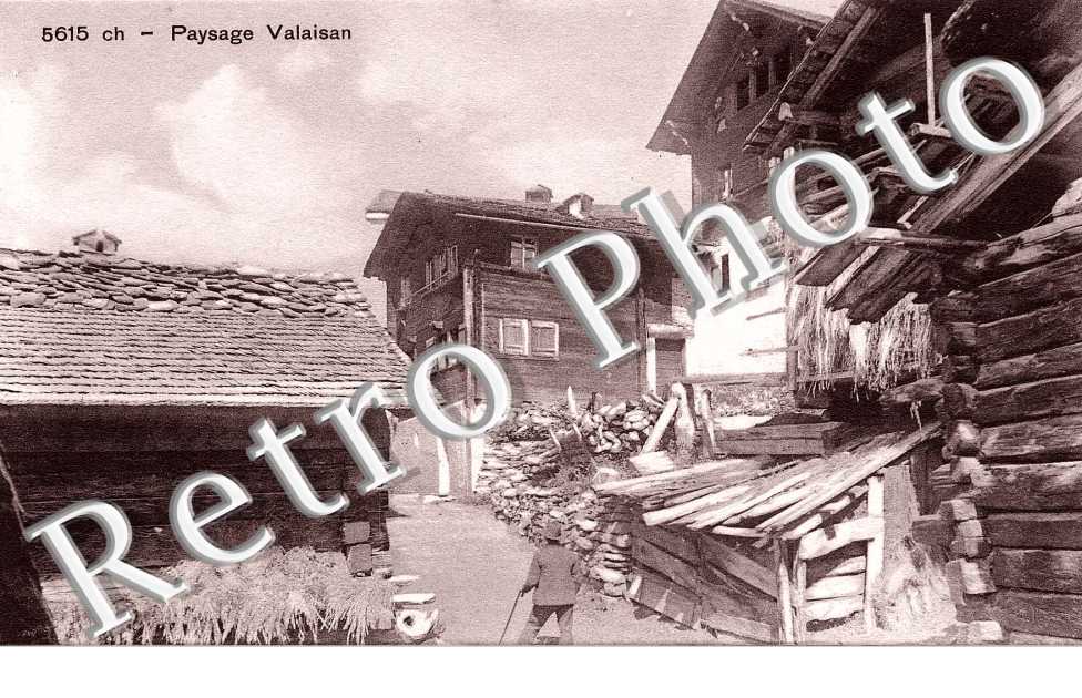 Paysage valaisan