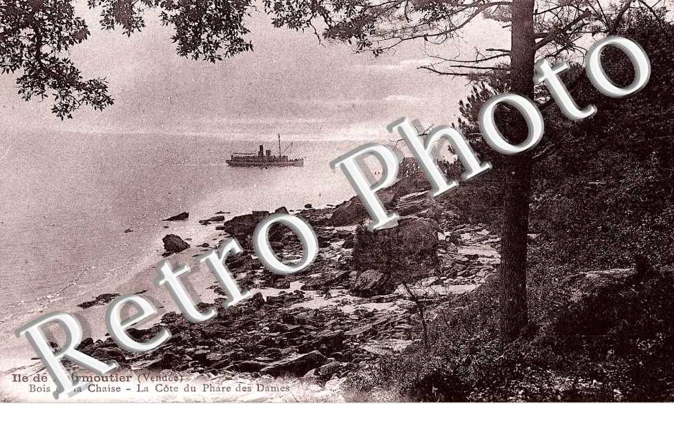 Bois de la Chaise - La Cote du Phare des dames