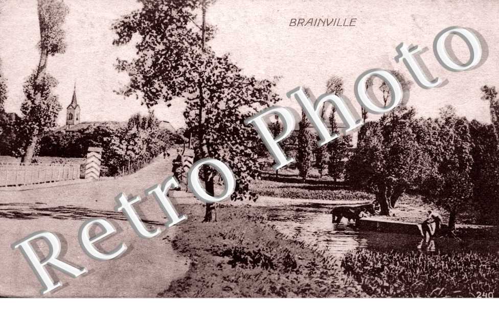 Brainville