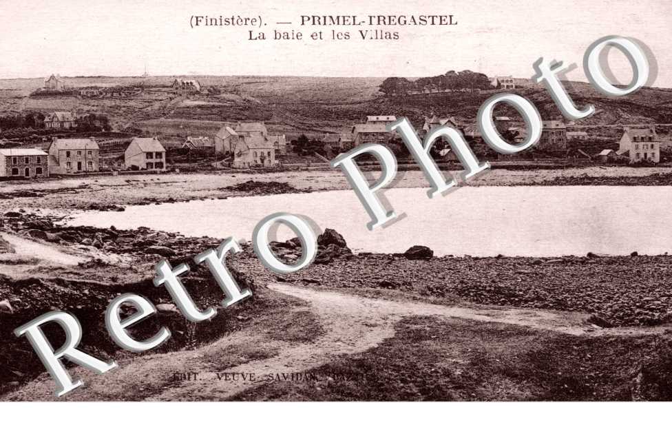 PRIMEL TREGASTEL la baie et les villas