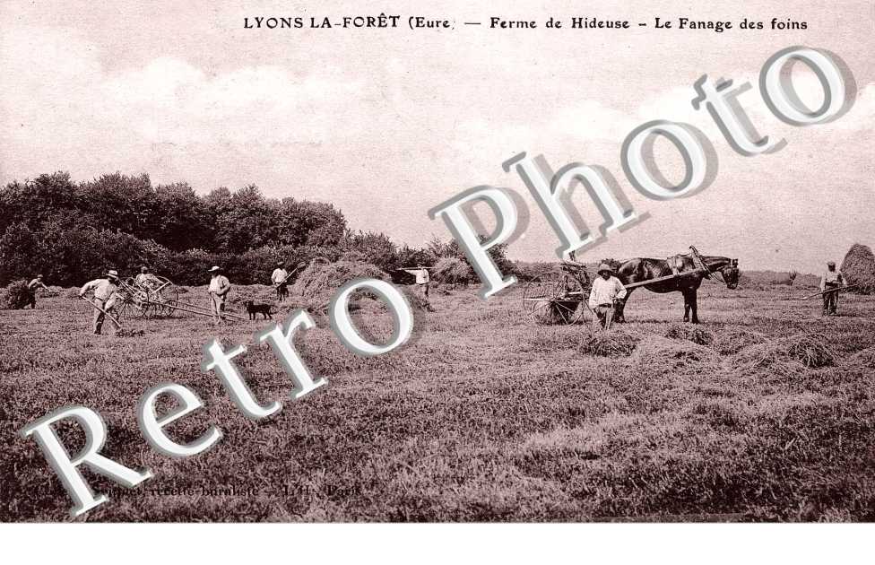 Ferme de Hideuse Le fanage des foins