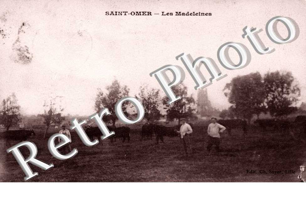 Les Madeleines