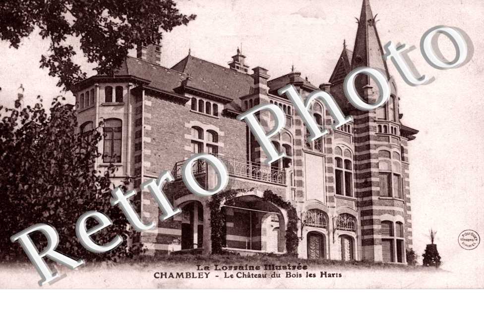le chateau du Bois les Harts