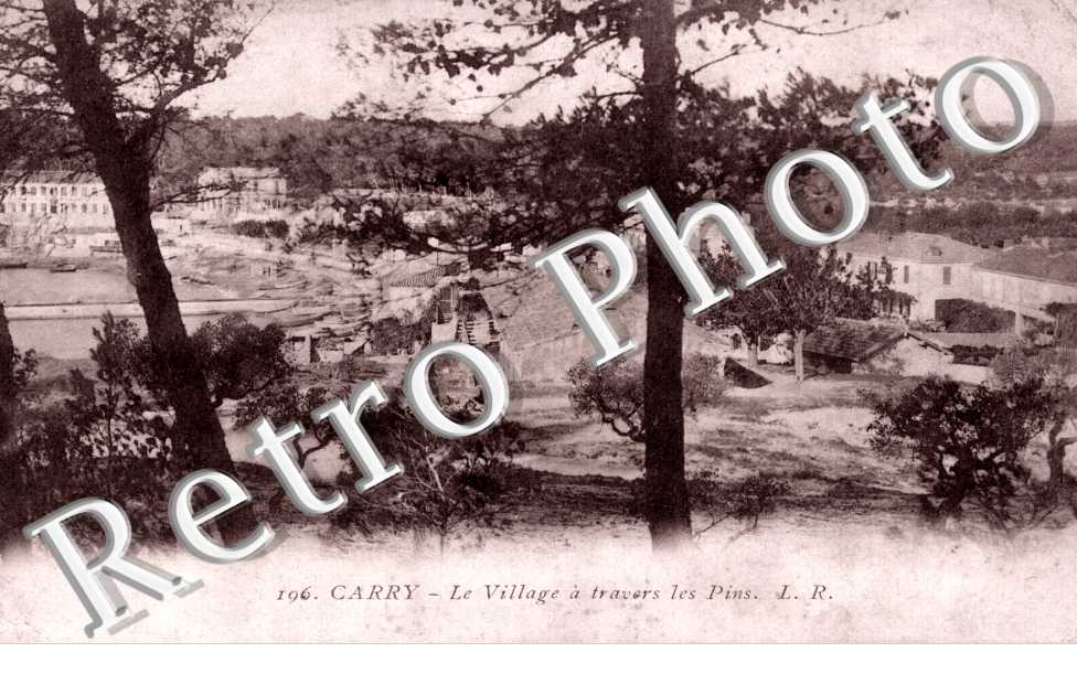le villlage a travers les pins