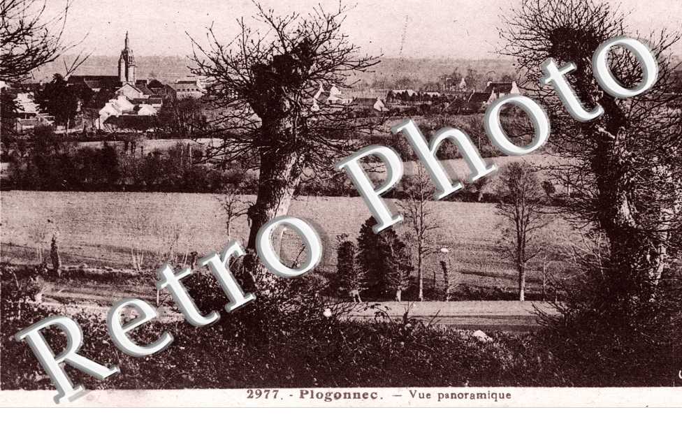 vue panoramique