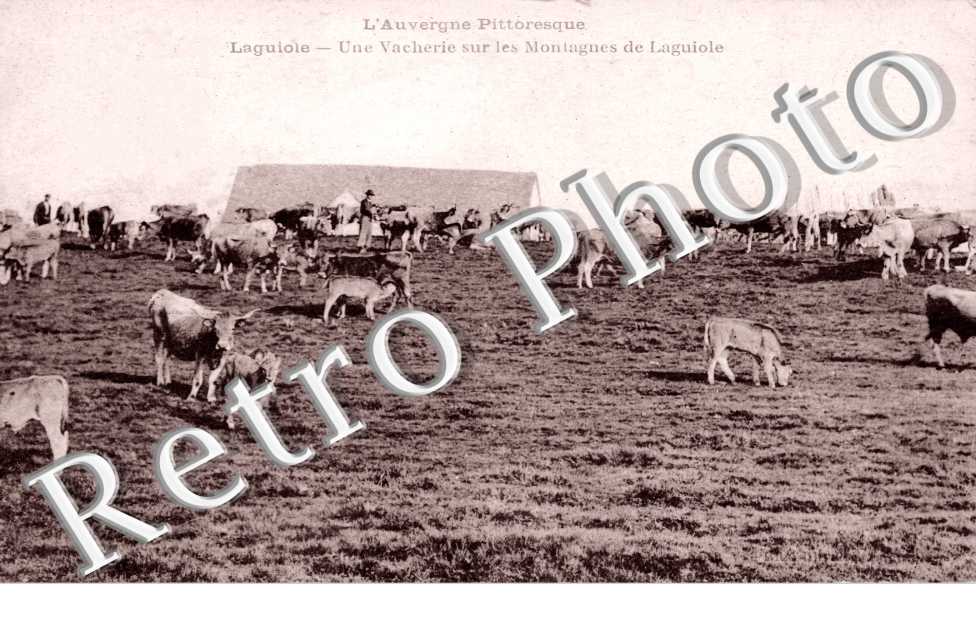 une vacherie sur les montagnes de Laguiole