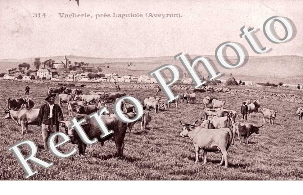 Vacherie