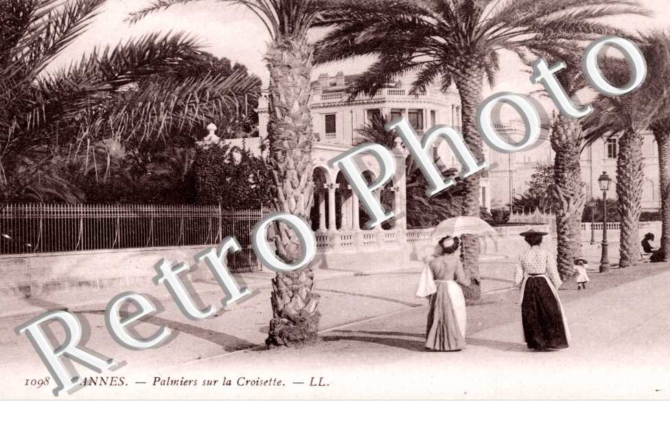 Palmiers sur la Croisette