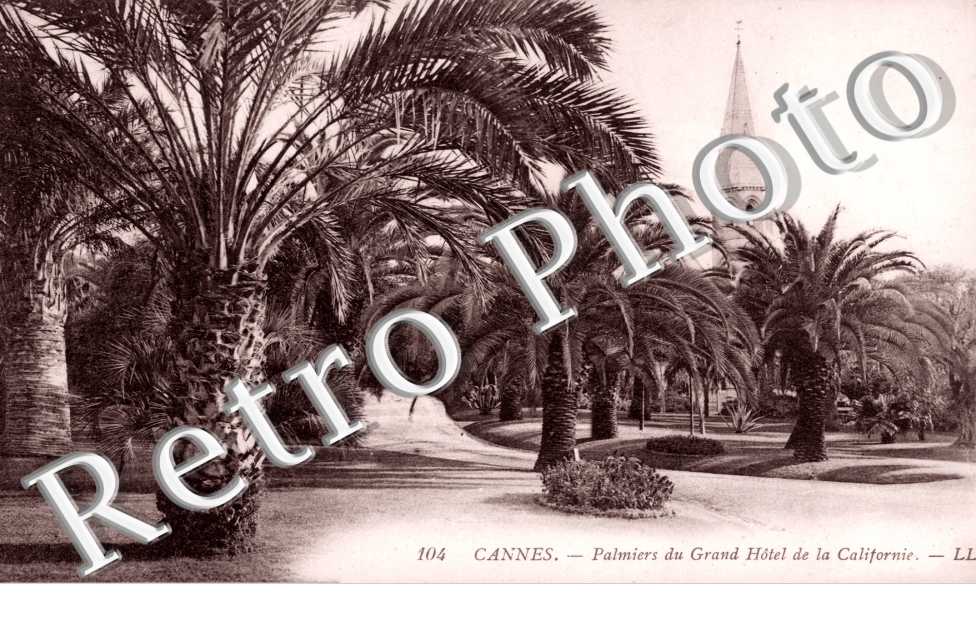 Palmiers du Grand Hotel de la Californie