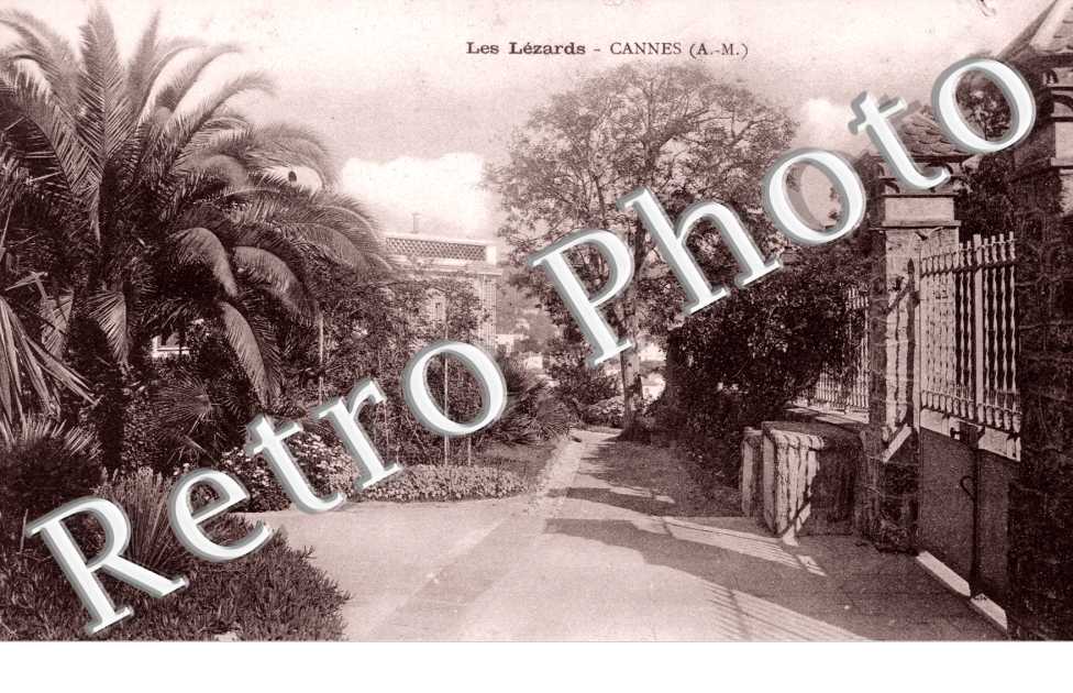 les Lezards