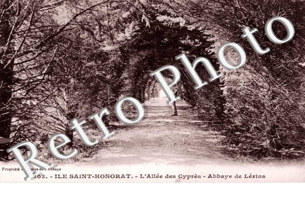 Ile Saint Honorat