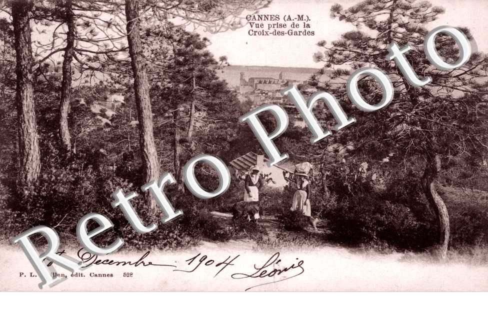 vue prise de la Croix des Gardes