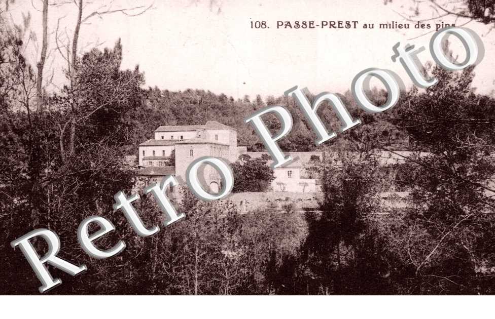 Passe-Brest au milieu des pins