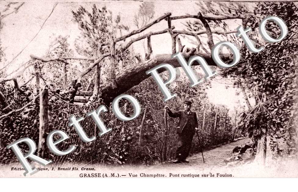 Pont rustique sur le Foulon