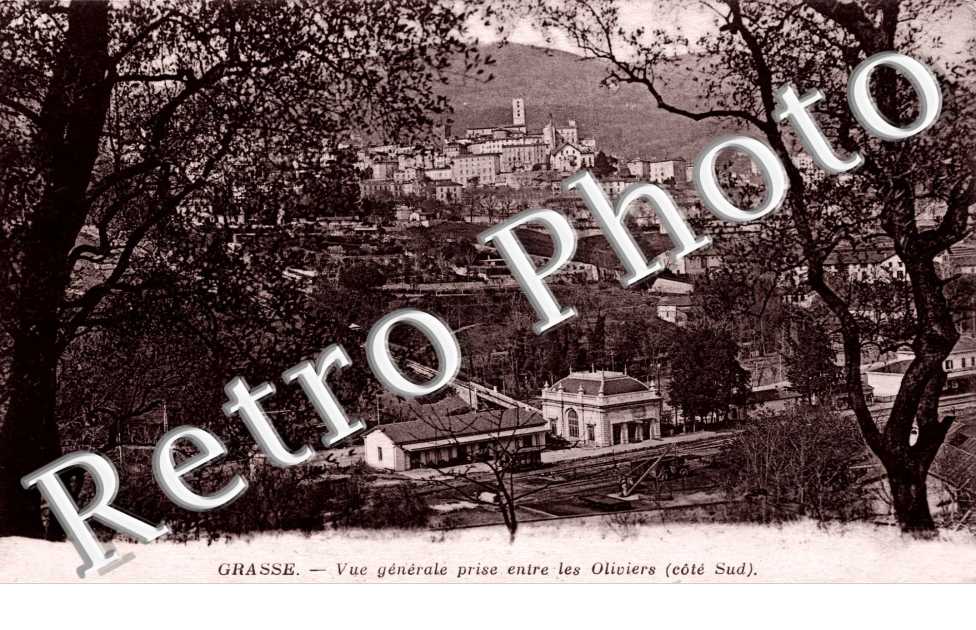 vue generale prise entre les oliviers