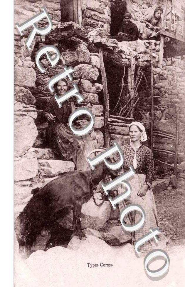 types corses