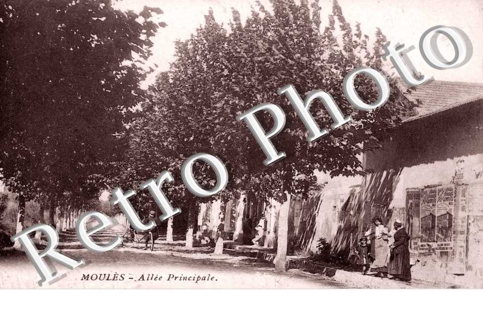 Moules - Allée Principale
