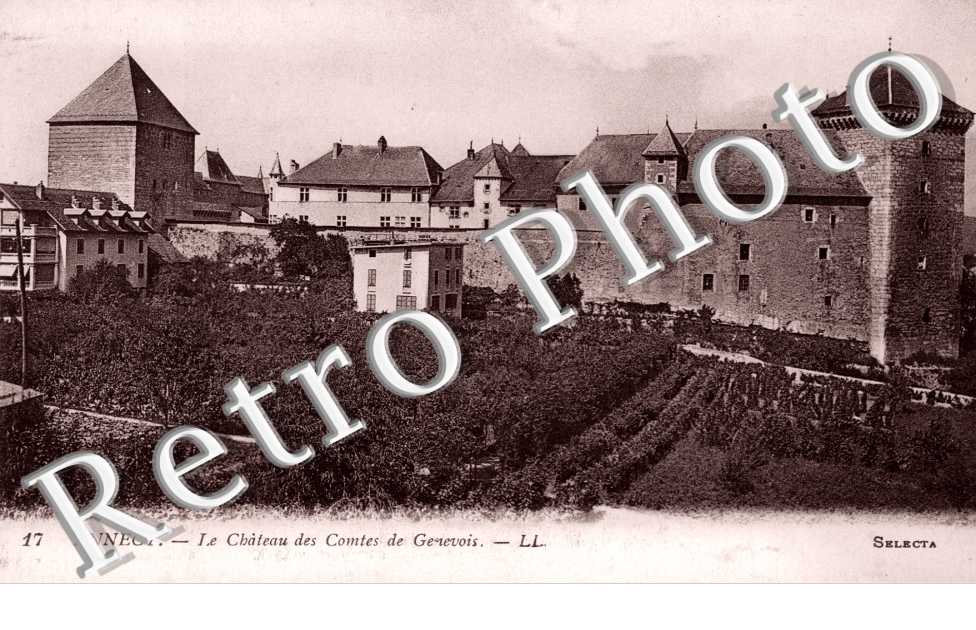 Chateau des Comtes de Genevois
