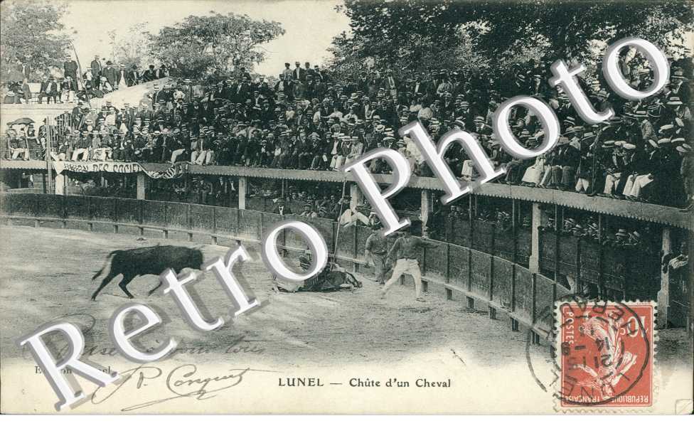 Chute d'un cheval