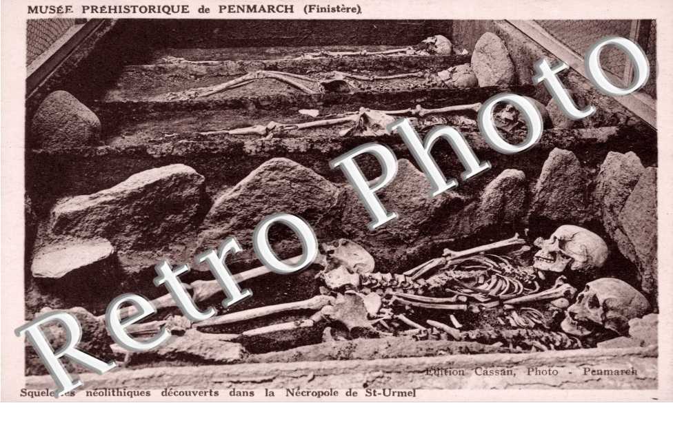 Squelettes neolithiques decouverts dans la Necropole de Saint-Urmel, Musee Prehistorique de Penmarch