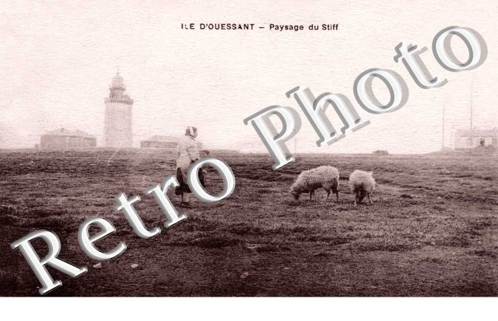 Paysage de Stiff
