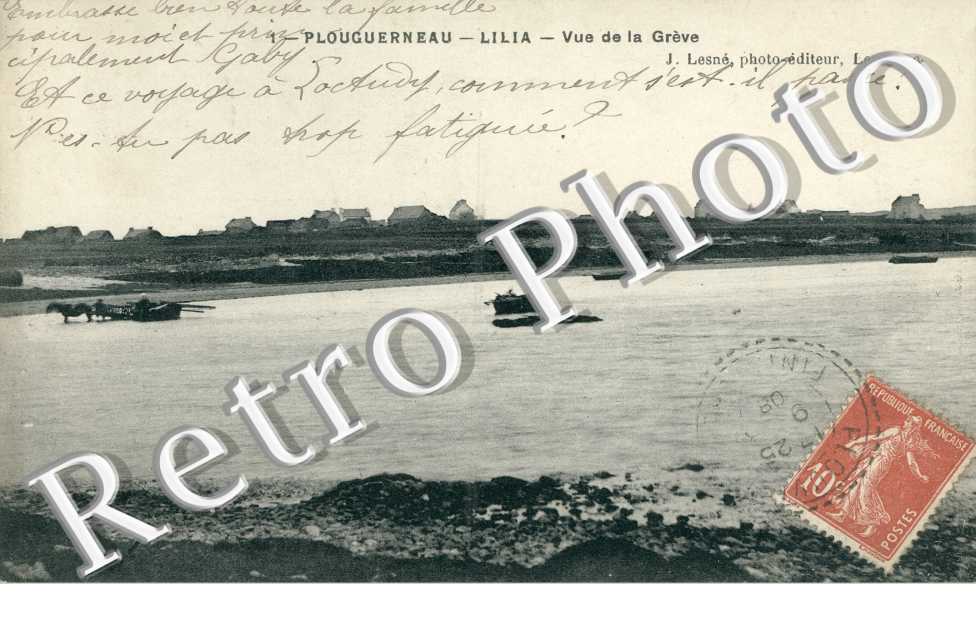 Vue de la Greve, Lilia