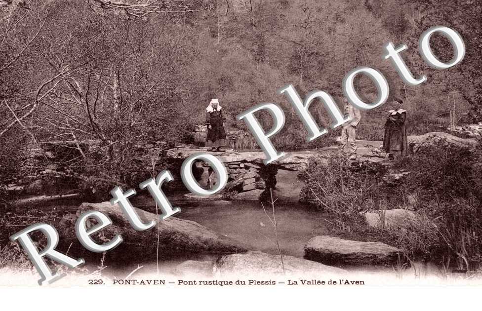 Pont du plessis