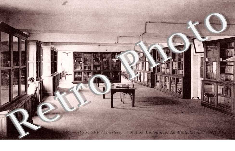 station biologique, la bibliotheque