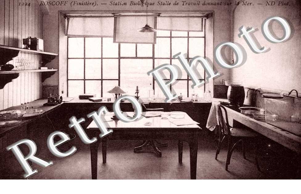 Station Biologique, Salle de Travail