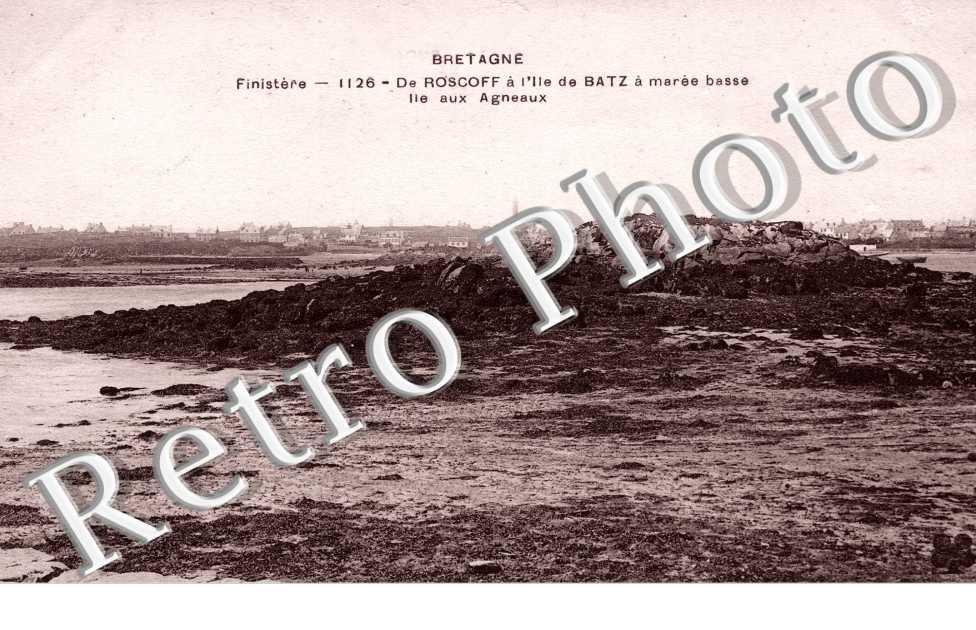 Vue Générale du Port