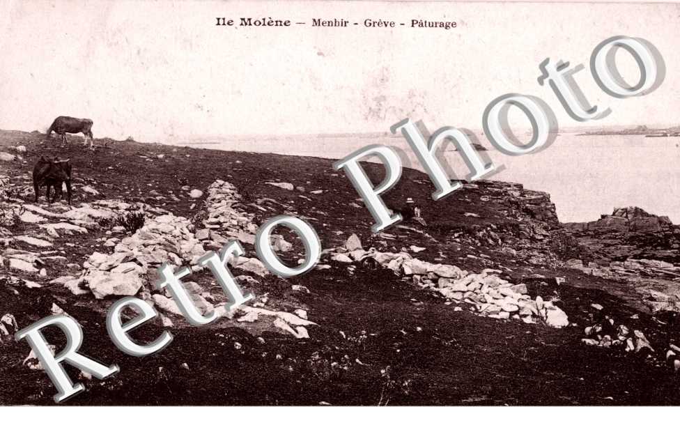 Menhir - greve - paturage