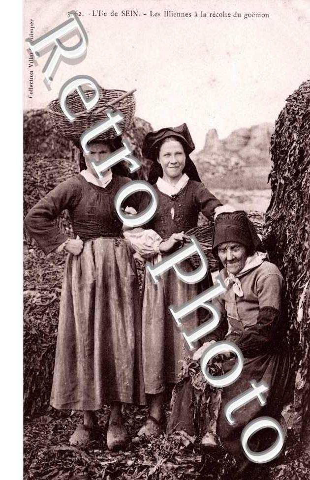 Les Iliennes a la recolte du goÃ«mon